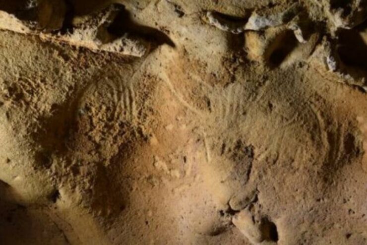 In France’s Loire Valley, Neanderthal engravings from 57,000 years ago were discovered.
