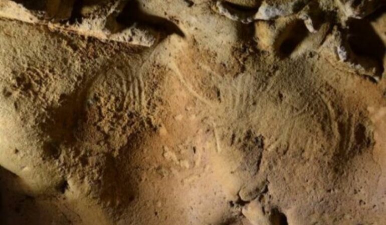 In France’s Loire Valley, Neanderthal engravings from 57,000 years ago were discovered.